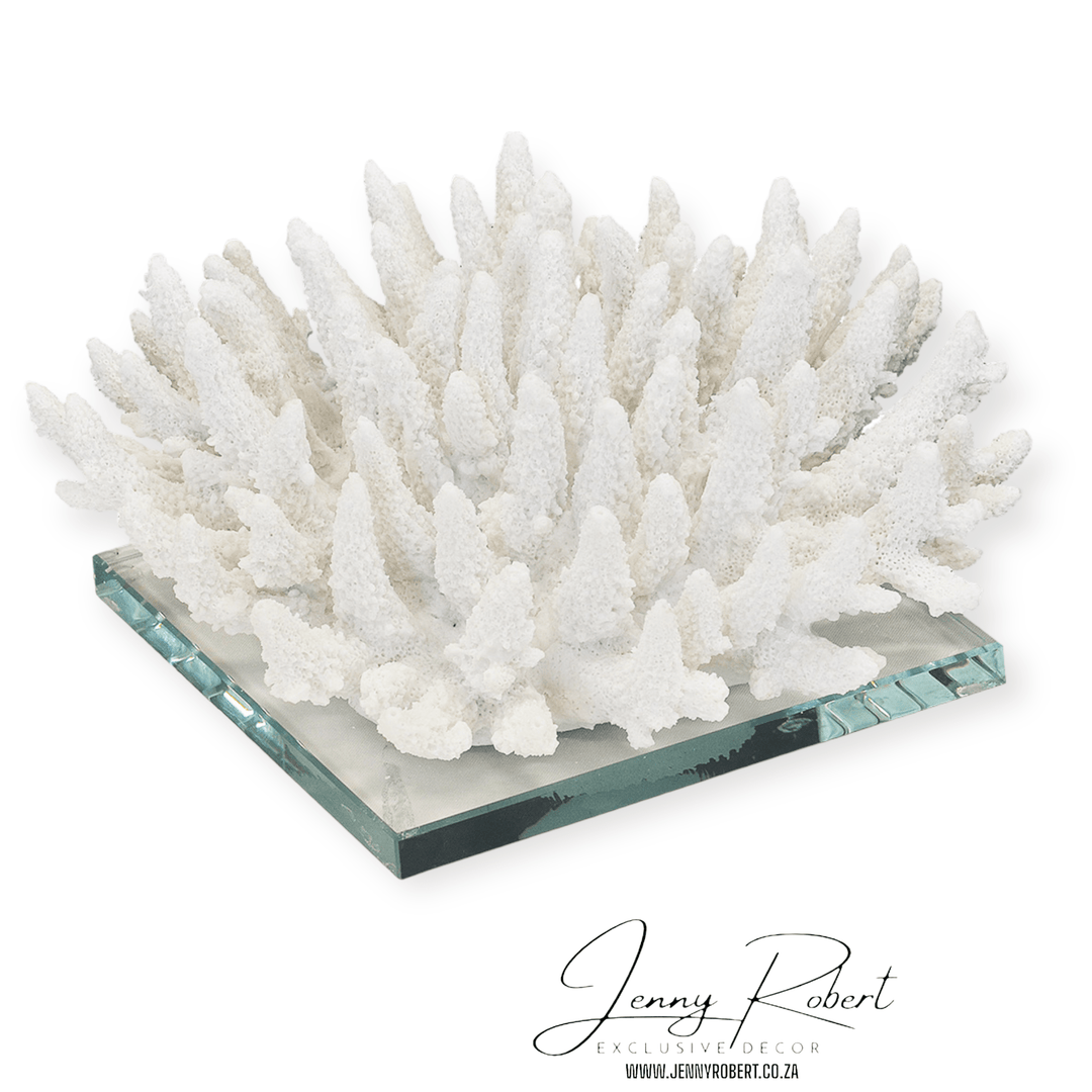 Coral Objet on Glass Stand (White)