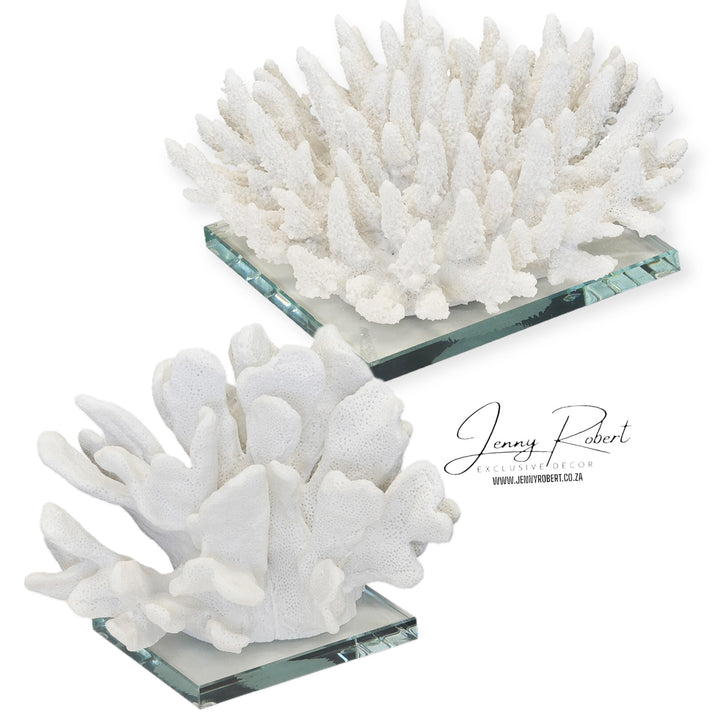 Coral Objet on Glass Stand (White)