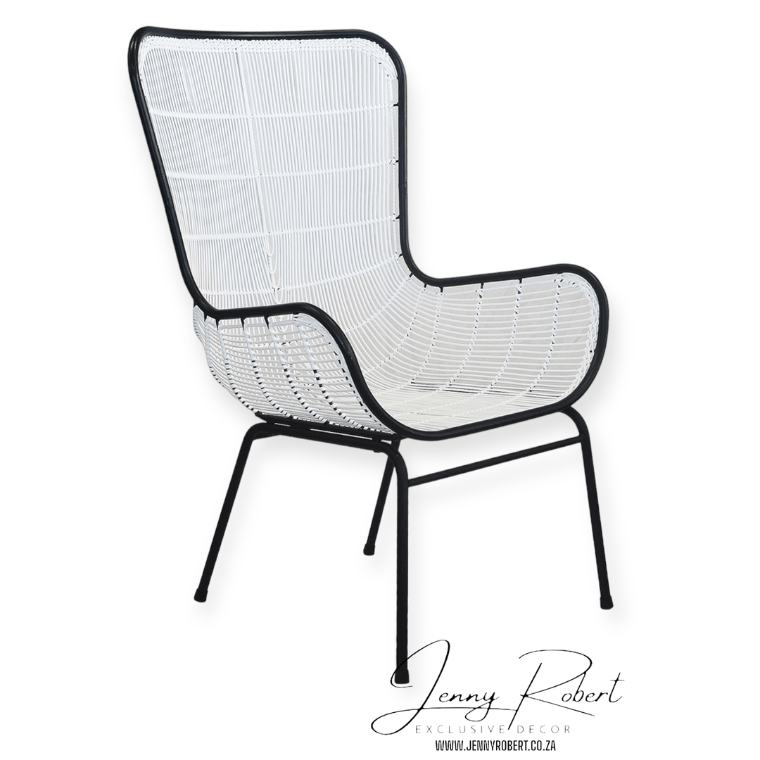 Chair Curved Synthetic with Frame