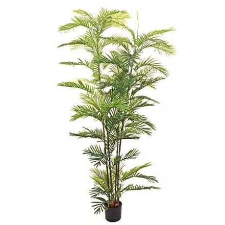 Palm Tree Large Areca Faux (2m)